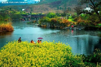 【婺源賞油菜花】【夢(mèng)里黃山】純玩四日-- 不加不購(gòu)//游山玩水戲花海 [包含婺源景點(diǎn)套票210元，真正的深度游]