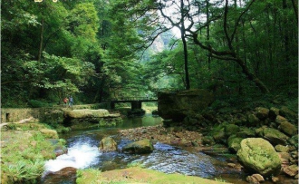 湖南長(zhǎng)沙-韶山-張家界-國(guó)家森林公園-世界第一玻璃橋-煙雨張家界晚會(huì)-天門(mén)山-玻璃棧道-鳳凰古城雙飛六日尊貴游