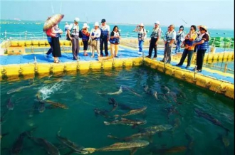 【懶人行】·海陽·威海·煙臺·養(yǎng)馬島·海洋牧場·私人沙灘·非常規(guī)·您的私人定制3日游